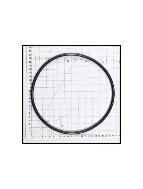 download - 2026-06-07T122928.264 POOL FILTER LID SPECK AQUASWIM/610 O RING ORIGINAL - Image 1