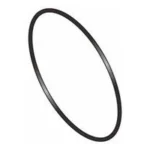 POOL PUMP SPECK PORPOISE O RING FOR BODY